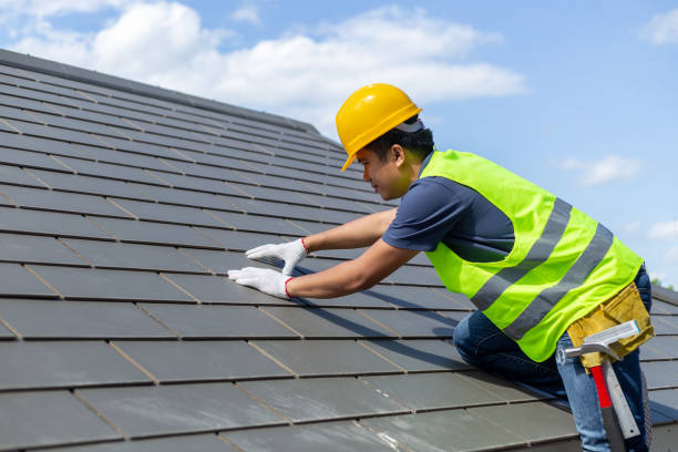 Best Roof Leak Repair  in Terry, MS