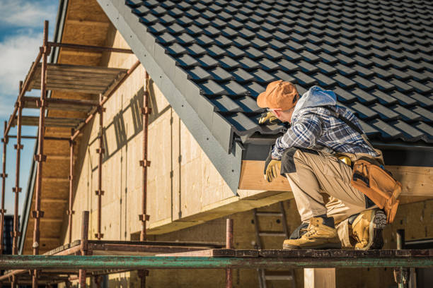 Best New Roof Installation  in Terry, MS