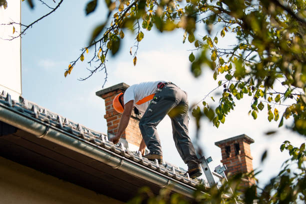 Best Best Roofing Contractors  in Terry, MS