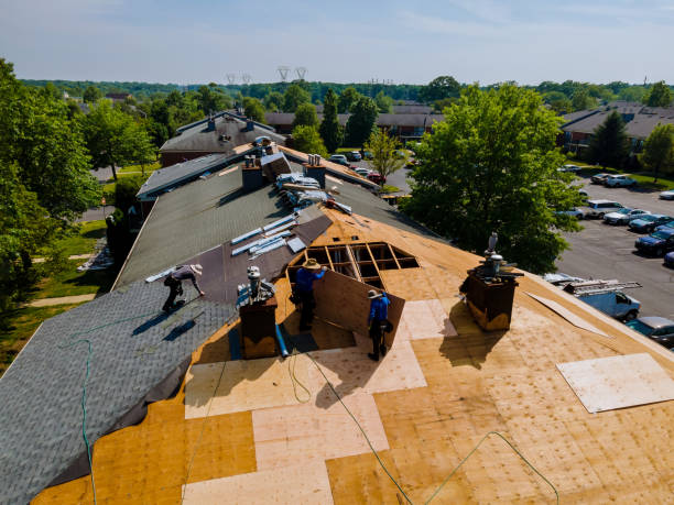 Best Commercial Roof Installation  in Terry, MS