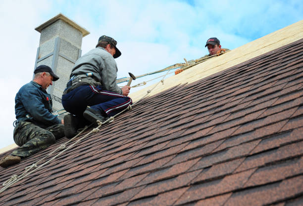 Quick and Trustworthy Emergency Roof Repair Services in Terry, MS